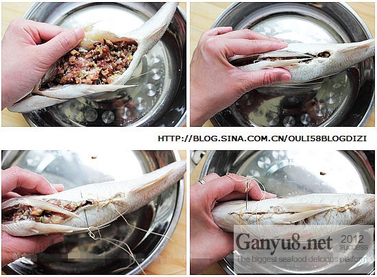 荷包加吉鱼4.jpg