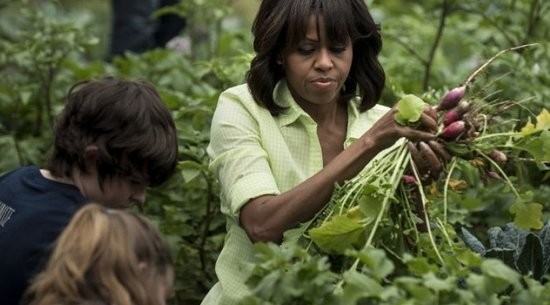 美国第一夫人白宫收获自种萝卜为赣榆新世纪花园小区先进居民树榜样.jpg